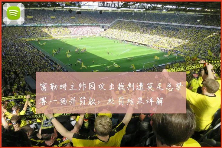 富勒姆主帅因攻击裁判遭英足总禁赛一场并罚款，处罚结果详解