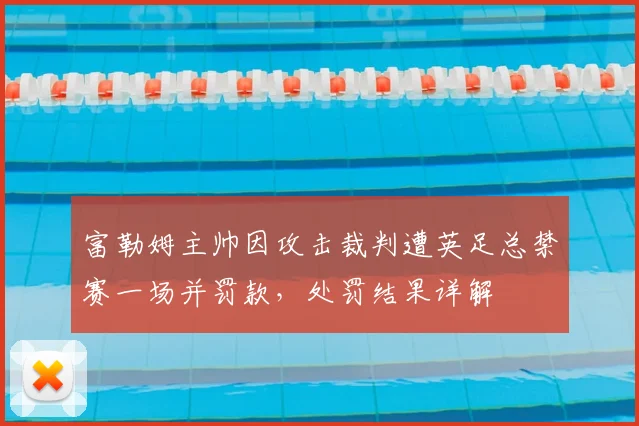 富勒姆主帅因攻击裁判遭英足总禁赛一场并罚款，处罚结果详解