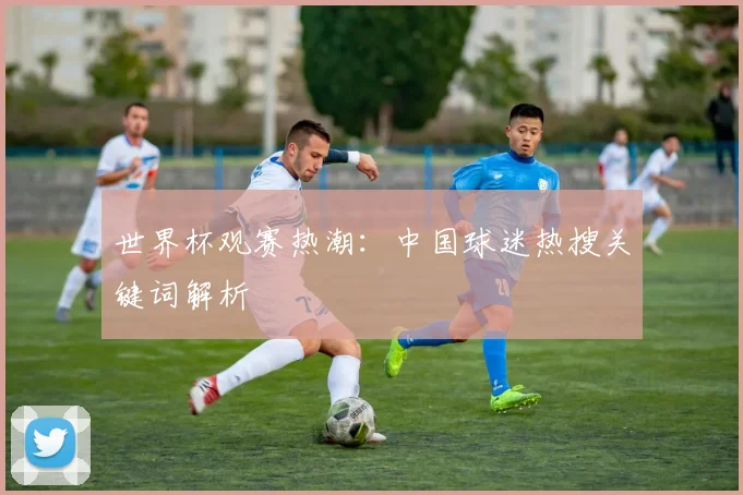 世界杯观赛热潮：中国球迷热搜关键词解析